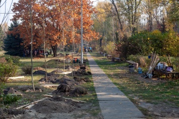 За день в Киеве провели 20 толок, высадили 1300 деревьев и 1375 кустарников