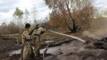 В Черкасской области уже неделю тушат горящие торфяники (видео)