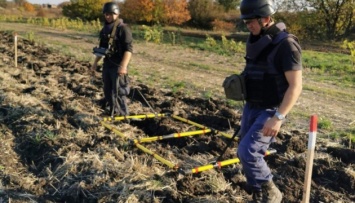 На Донбассе за неделю обезвредили около 700 взрывоопасных предметов