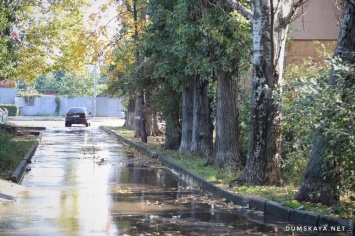 Комарова второй день заливает из-за прорыва трубы: вода бьет прямо из-под корней дерева