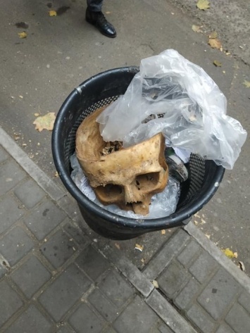 В урне в центре Николаева нашли человеческий череп