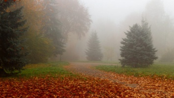 Внимание автомобилистам Никополя: из-за тумана на дорогах опасно
