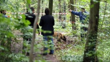 Мумию и гранаты нашли в лесопосадках на Херсонщине