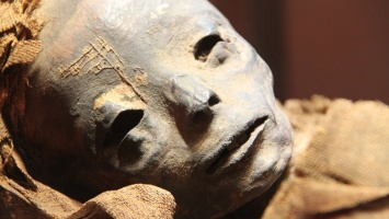В Египте сообщили о самой крупной находке археологов за последние годы