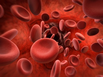 5 продуктов для усиления циркуляции крови