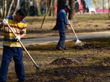 Плохих родителей заставят работать дворниками в городских парках