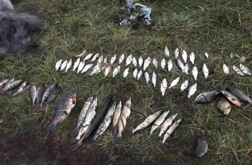 В Днепропетровской области задержали браконьера с уловом на 7,5 тысяч гривен