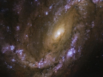 Астрономы открыли галактику-монстра, которая возникла сразу после Большого взрыва