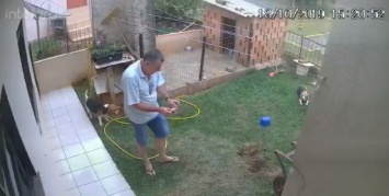 Бразилец взорвал двор, пытаясь уничтожить полчища тараканов (ВИДЕО)
