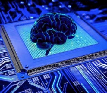 Можно ли сравнивать мозг человека с компьютером?