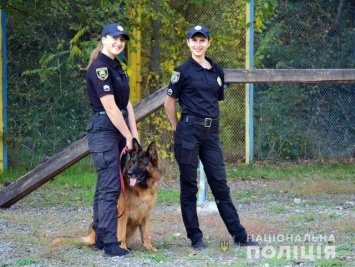 В селе под Мариуполем немецкая овчарка Тайра отыскала вора элитного алкоголя