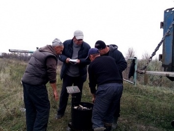 Карп и белый амур: зарыбили озеро Соленое в Новоайдарском районе