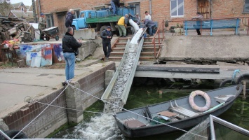 В Никополе в Каховское водохранилище выпустили 700 килограммов малька карпа