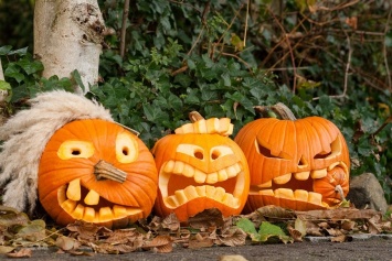 Киевский зоопарк устроит Zоо Halloween для питомцев