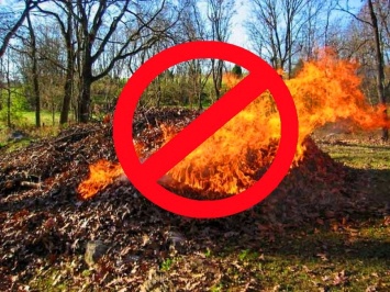 Почему нельзя сжигать сухую листву (потому что вредно и дорого)