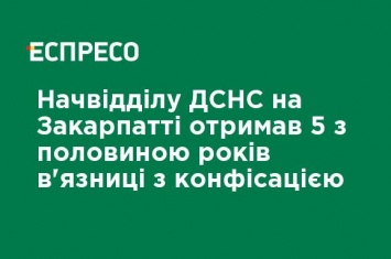 Начотдела ГСЧС на Закарпатье получил 5 с половиной лет тюрьмы с конфискацией