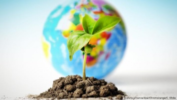 Немецкую экологическую премию присудили за исследование почвы и невредную бытовую химию