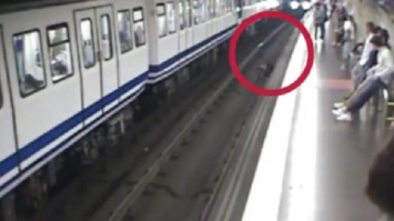 Засмотрелась в телефон: в Мадриде девушка упала под поезд в метро