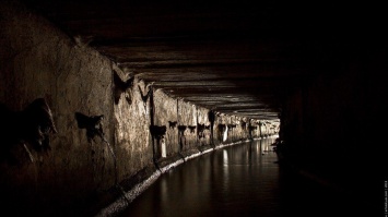 В Днепре на набережной докопались до старого тоннеля (Фото)
