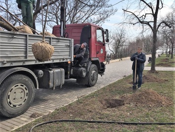 Одесский Горзелентрест отчитался о работе в 2019 году