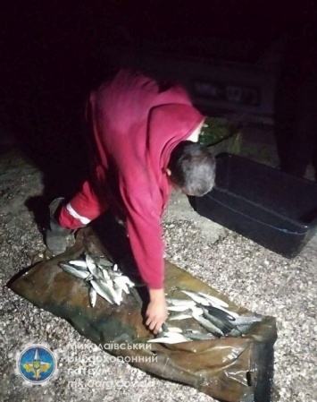 На Тилигульском лимане браконьер выловил кефали на 30 тысяч гривен