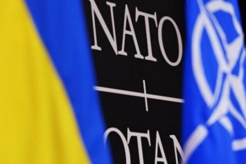 Столтенбергу рассказали, почему Украина не будет подавать заявку на членство в НАТО