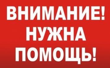 Ребенку нужна операция на почке: семья просит помощи