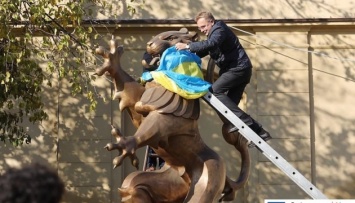 Самого большого льва одели в национальный флаг - Львов отмечает 101 годовщину ЗУНР