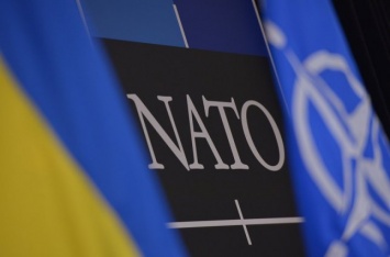НАТО не предлагает новых программ помощи Украине - обозреватель