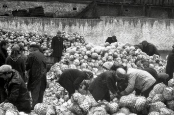 Позорные фото советского капустного рабства