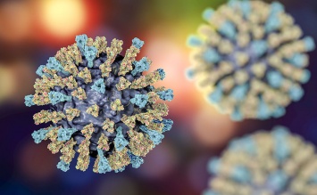 Вирус кори может сбрасывать иммунную систему до детского состояния