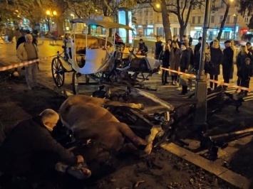 Напуганные фейерверком лошади травмировали двоих человек в центре Львова