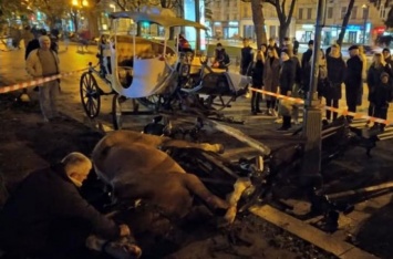 В центре Львова лошади снесли лавку с людьми: видео с места ЧП