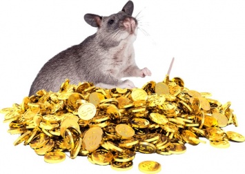 Финансовый гороскоп на 2020 год - в год Крысы, по знаку Зодиака!