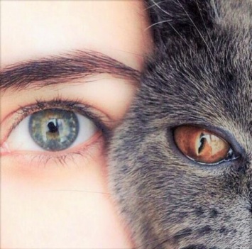 Эзотерик выяснил как цвет глаз влияет на успех