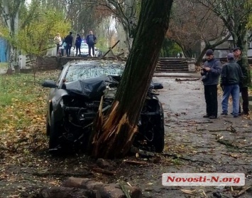 В Николаеве «Ауди» свалил дерево в парке - водитель скрылся на кабриолете