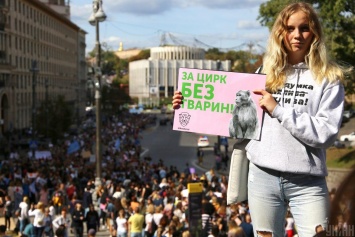 Минэкоэнерго присоединяется к борьбе за права животных жить не в цирке