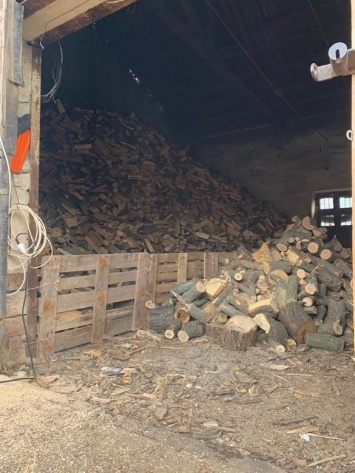 В Кривом Роге в ходе обыска на предприятии нашли склад незаконно срубленной древесины, - ФОТО