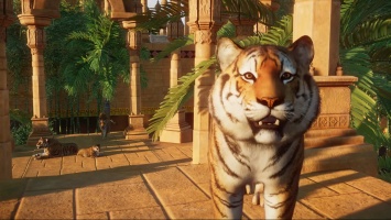 Очаровательные питомцы в релизном трейлере тайкуна Planet Zoo