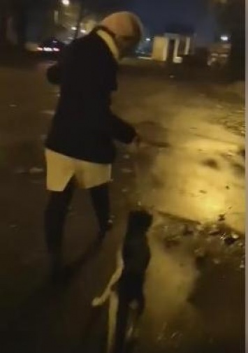 Женщина ночами водит на поводке измученное животное (ВИДЕО)