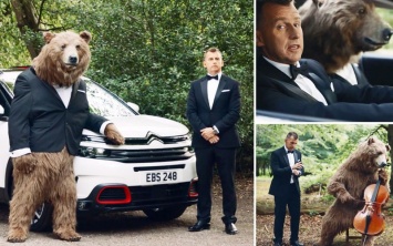 Компания Citroen выпустила комедийный ролик с медведем (ВИДЕО)
