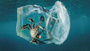 В Мировой океан ежегодно сбрасывают около 12 миллионов тонн пластика