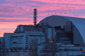 Скандальный чиновник хочет управлять Чернобыльской зоной