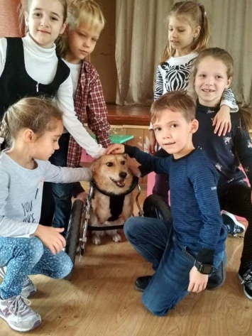 Бетти, собака с инвалидностью, провела "Открытый урок" в школе Днепра