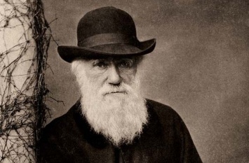 Ученые опровергли главную гипотезу Дарвина