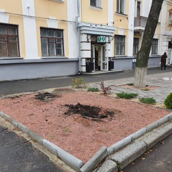 В самом центре Полтавы неизвестные выкопали деревья (фото)