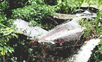 Винтажный Jaguar E-Type нашли в кустах и восстановили