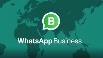 В WhatsApp Business появились каталоги: что это такое