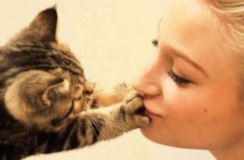 Стало известно, зачем кошки трогают лапкой лицо хозяина
