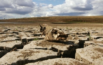 В Крыму пересохли реки из-за засухи - гидролог